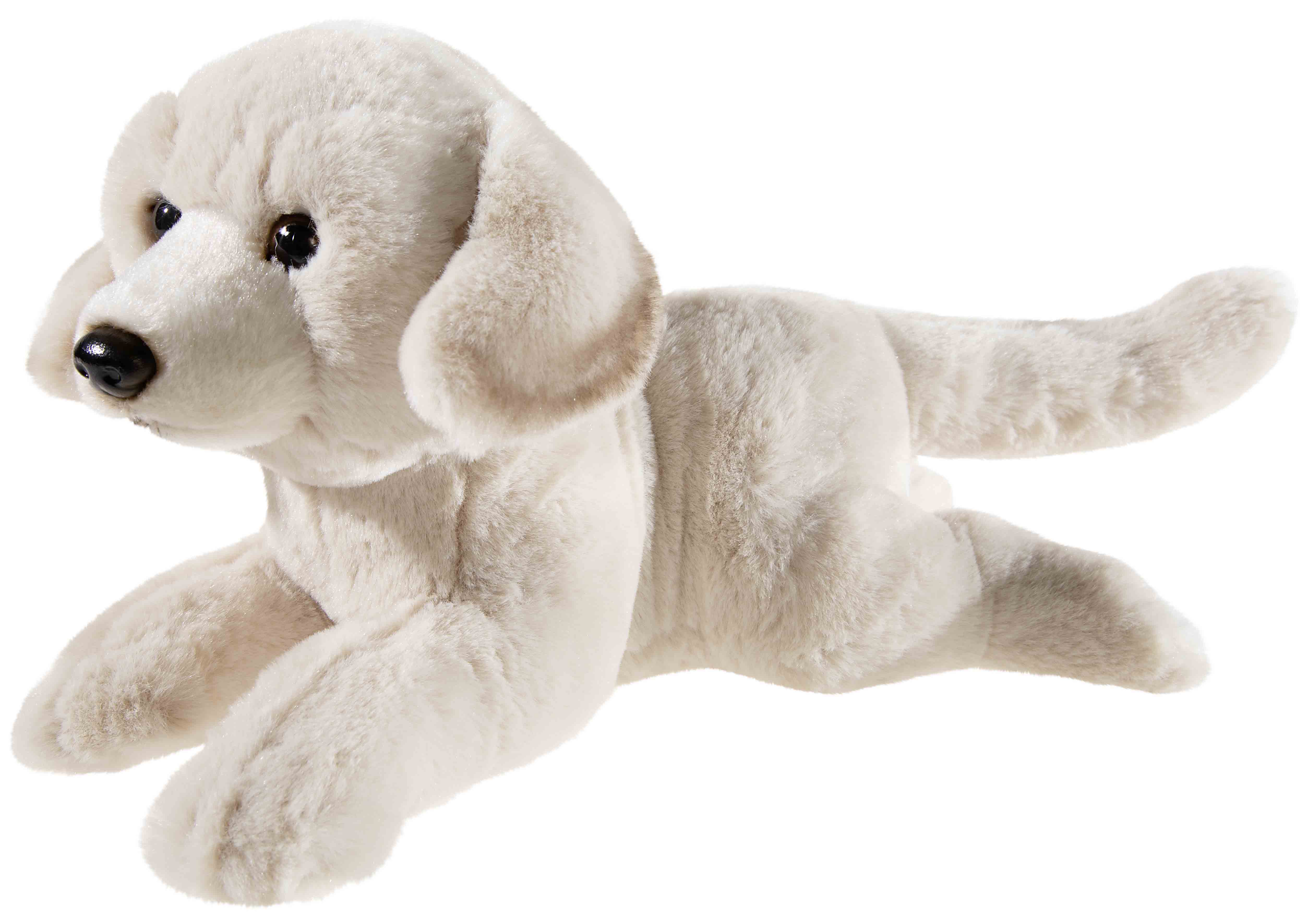 MISANIMO WELPE Retriever liegend 