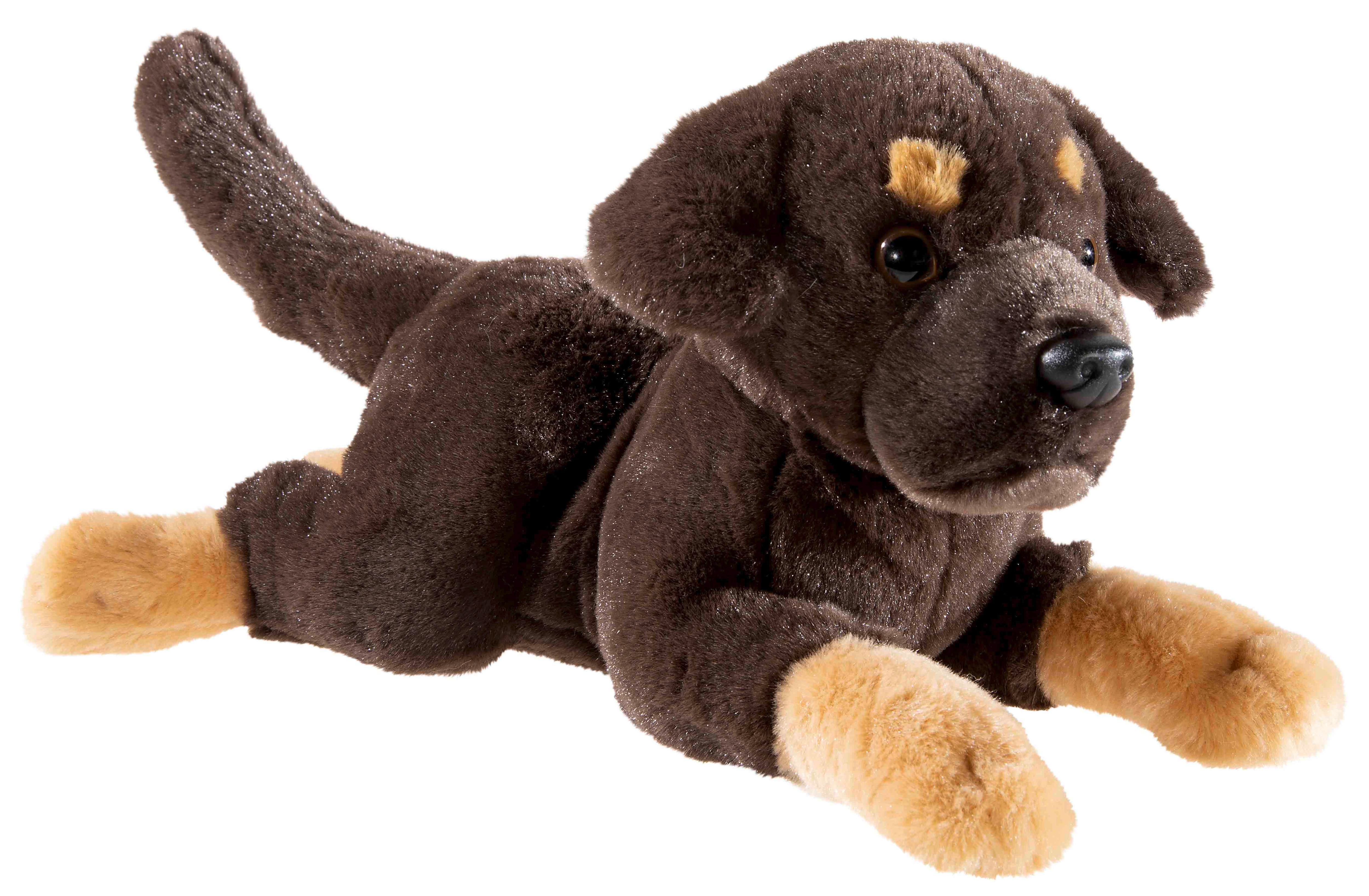 MISANIMO WELPE Labrador liegend 