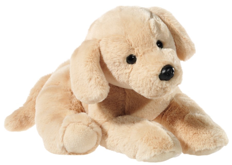 HUND Golden Retriever 