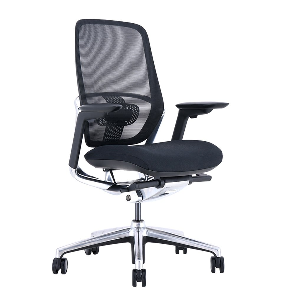 Carmen KLOTEN Ergonomischer B&uuml;rostuhl mit Netzr&uuml;cken, Lordosenst&uuml;tze, 4D-Armlehnen und Alu-Fu&szlig;kreuz &ndash; Schwarz 