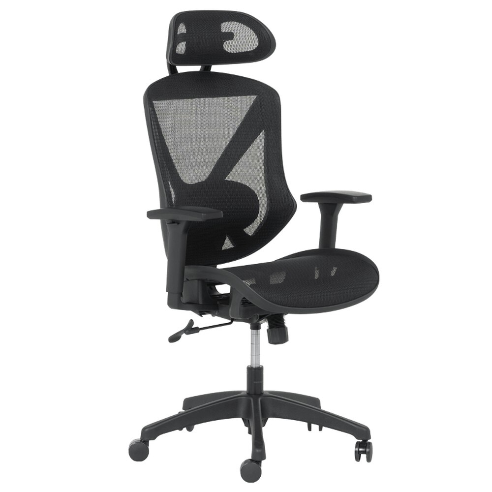 Carmen CAEN Ergonomischer B&uuml;rostuhl mit Netzr&uuml;cken, Kopfst&uuml;tze, Lordosenst&uuml;tze und 1D-Armlehnen &ndash; Schwarz 
