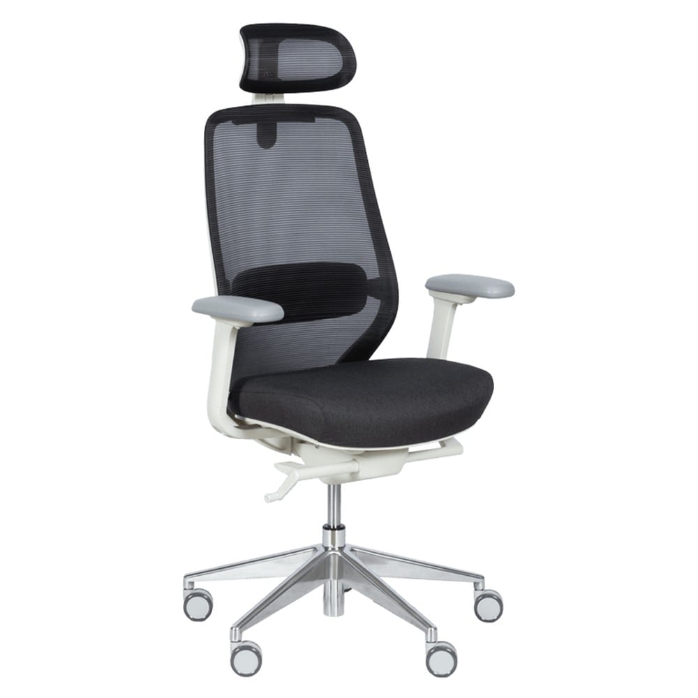 Carmen GLAND Ergonomischer B&uuml;rostuhl mit Netzr&uuml;cken, Kopfst&uuml;tze, Lordosenst&uuml;tze, 4D-Armlehnen und Alu-Fu&szlig;kreuz &ndash; Schwarz 