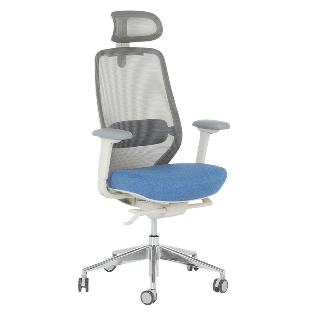 Carmen GLAND Ergonomischer B&uuml;rostuhl mit Netzr&uuml;cken, Kopfst&uuml;tze, Lordosenst&uuml;tze, 4D-Armlehnen und Alu-Fu&szlig;kreuz &ndash; Blau/Grau 