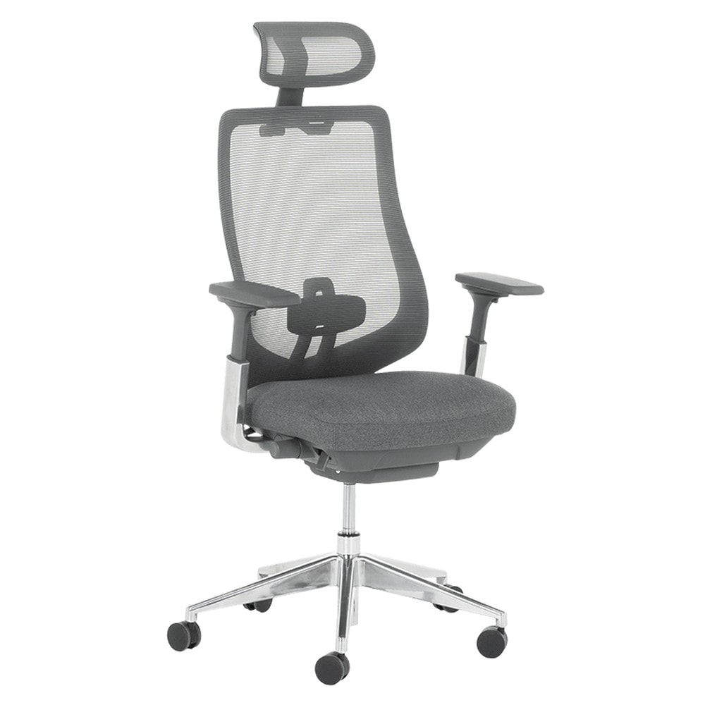 Carmen BADEN Ergonomischer B&uuml;rostuhl mit Netzr&uuml;cken, Kopfst&uuml;tze, Lordosenst&uuml;tze, 4D-Armlehnen und Alu-Fu&szlig;kreuz &ndash; Grau 