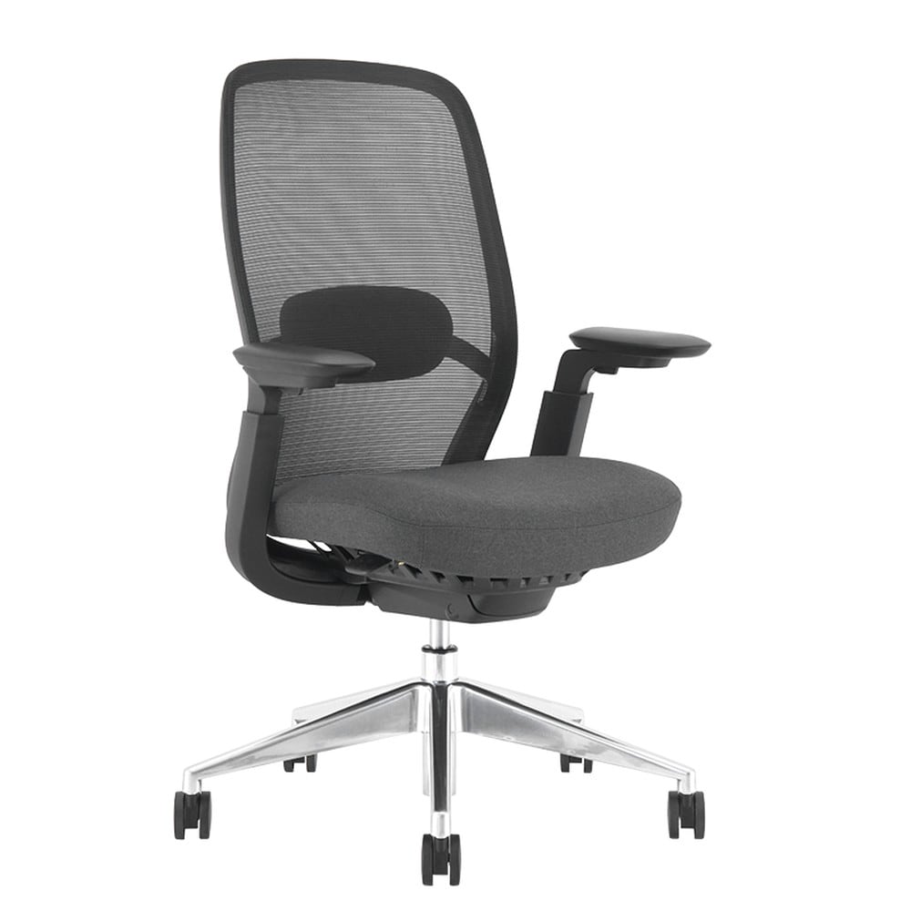 Carmen HORGEN Ergonomischer B&uuml;rostuhl mit Netzr&uuml;cken, Lordosenst&uuml;tze, 4D-Armlehnen und Alu-Fu&szlig;kreuz &ndash; Schwarz 