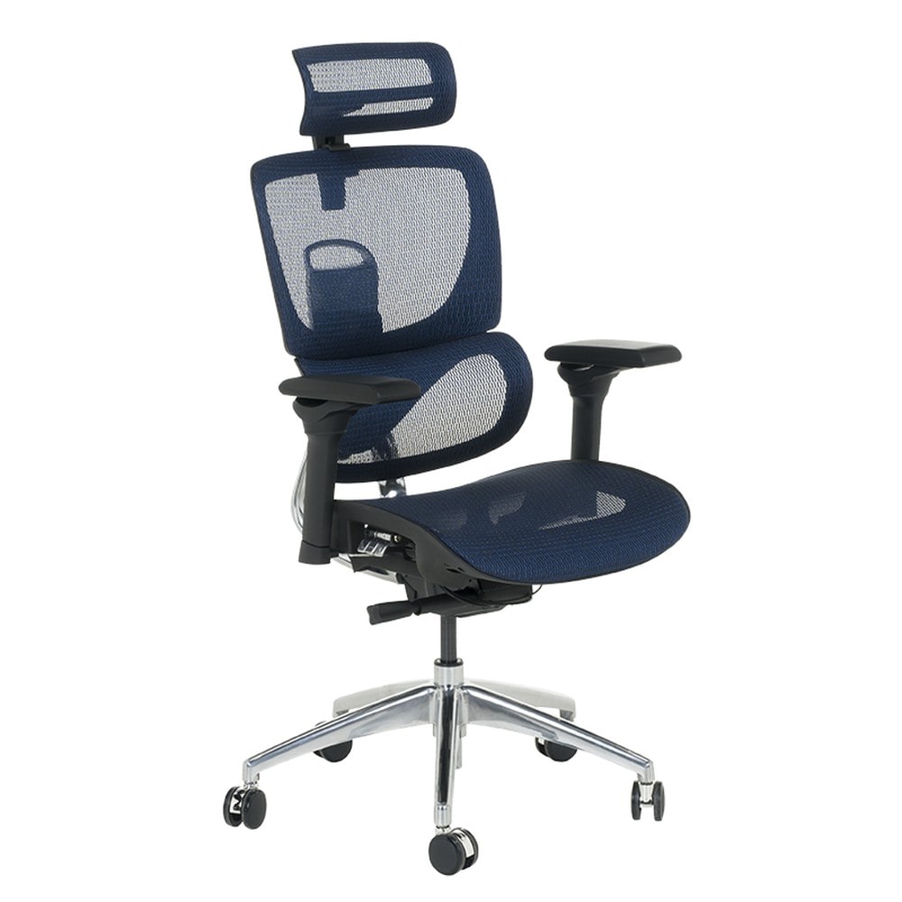 Carmen CALGARY Chefsessel XXL mit Netzr&uuml;cken, Kopfst&uuml;tze, Lordosenst&uuml;tze, 5D-Armlehnen und Alu-Fu&szlig;kreuz &ndash; Blau 