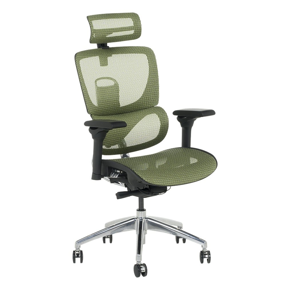 Carmen CALGARY Chefsessel XXL mit Netzr&uuml;cken, Kopfst&uuml;tze, Lordosenst&uuml;tze, 5D-Armlehnen und Alu-Fu&szlig;kreuz &ndash; Gr&uuml;n 