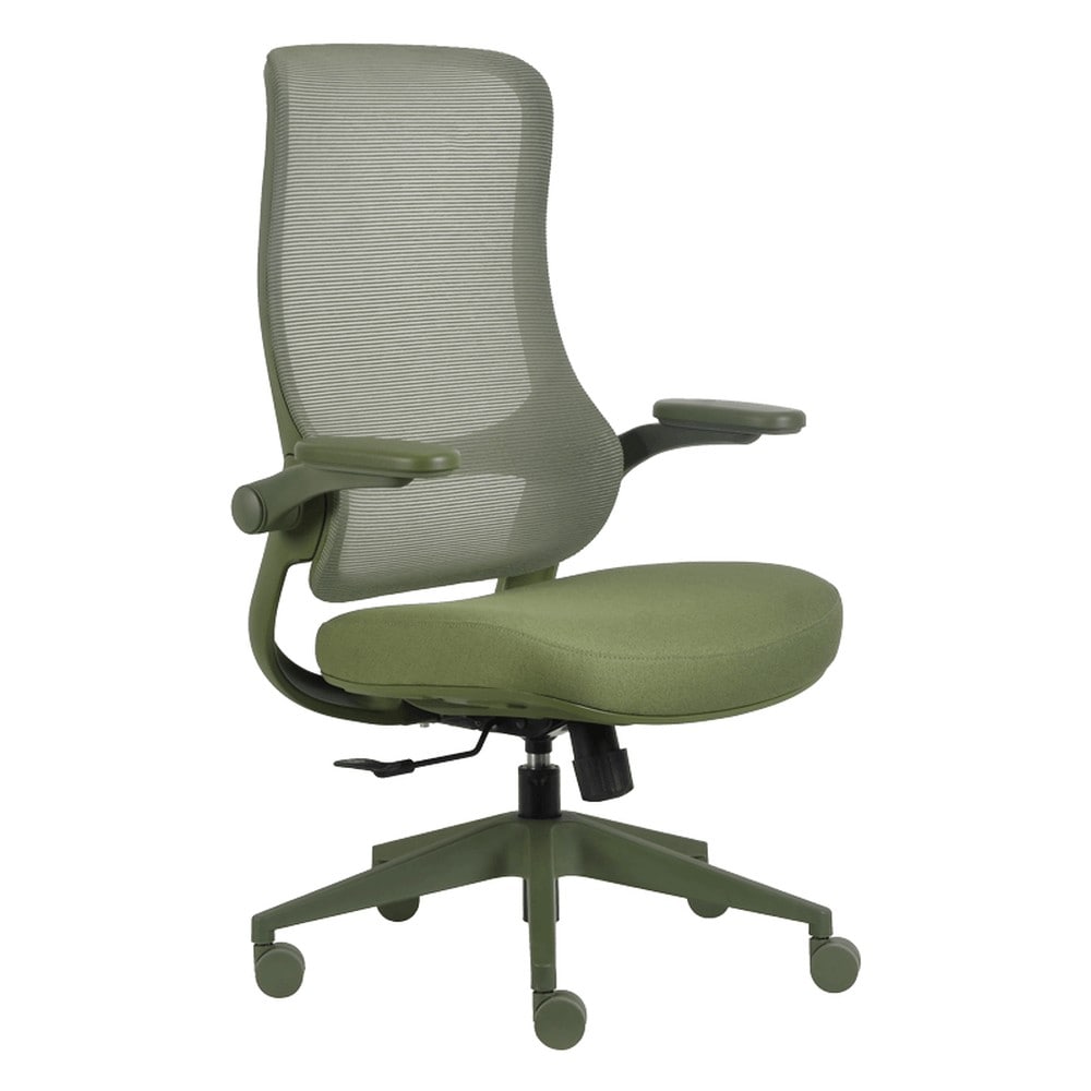Carmen BAKU Ergonomischer B&uuml;rostuhl mit Netzr&uuml;cken und 2D-Armlehnen &ndash; Gr&uuml;n 