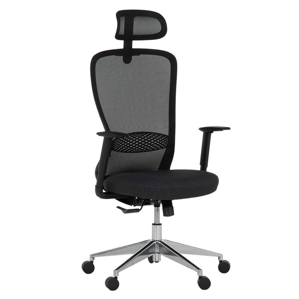Carmen NIDAU Ergonomischer B&uuml;rostuhl mit Netzr&uuml;cken, Kopfst&uuml;tze, Lordosenst&uuml;tze, 1D-Armlehnen und Alu-Fu&szlig;kreuz &ndash; Schwarz 