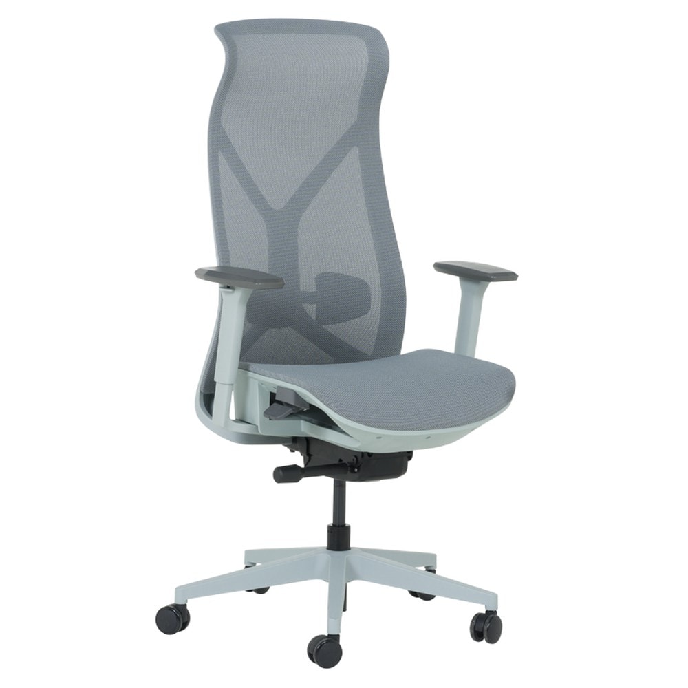 Carmen BETHAL Ergonomischer B&uuml;rostuhl mit Lordosenst&uuml;tze, 3D-Armlehnen und Alu-Fu&szlig;kreuz &ndash; Blau 