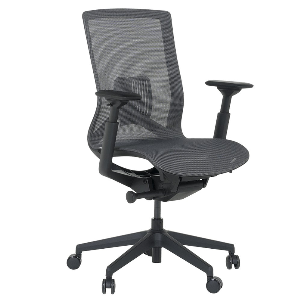 Carmen PRIMROSE Ergonomischer B&uuml;rostuhl mit Netzr&uuml;cken, Lordosenst&uuml;tze und 4D-Armlehnen &ndash; Dunkelgrau 