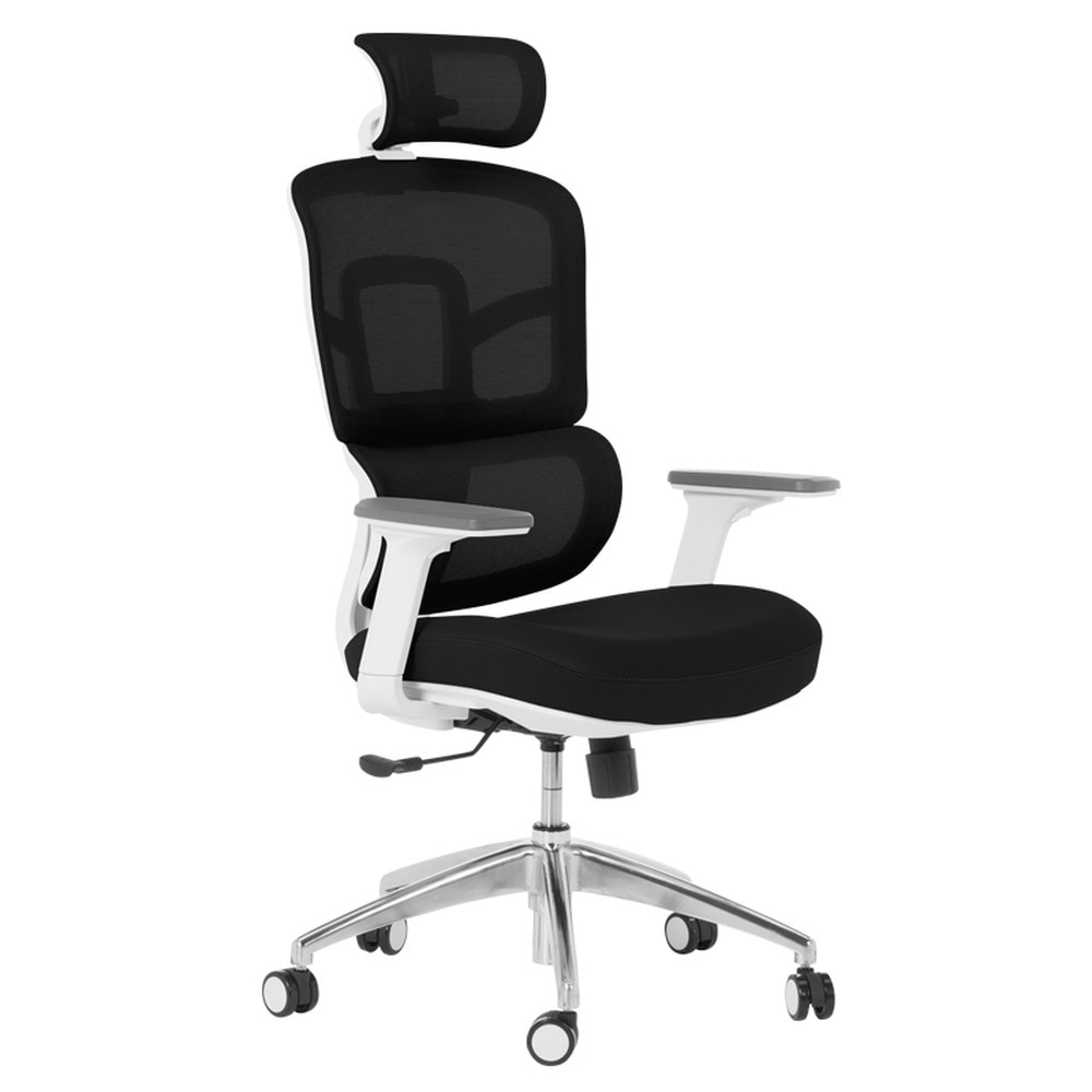 Carmen 7579 Ergonomischer B&uuml;rostuhl mit Netzr&uuml;cken, Kopfst&uuml;tze, 3D-Armlehnen und Alu-Fu&szlig;kreuz &ndash; Schwarz 