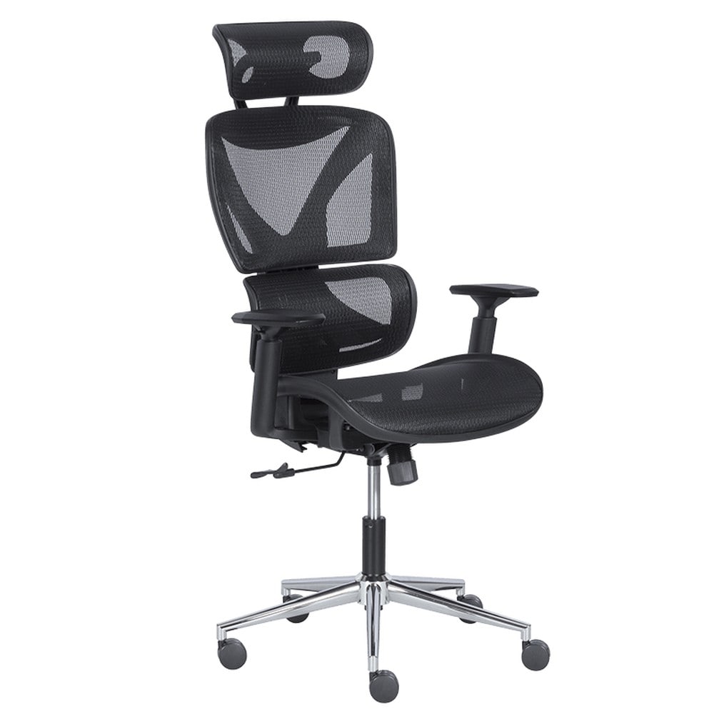 Carmen LORIENT Ergonomischer B&uuml;rostuhl mit Netzr&uuml;cken, Kopfst&uuml;tze und 1D-Armlehnen &ndash; Schwarz 