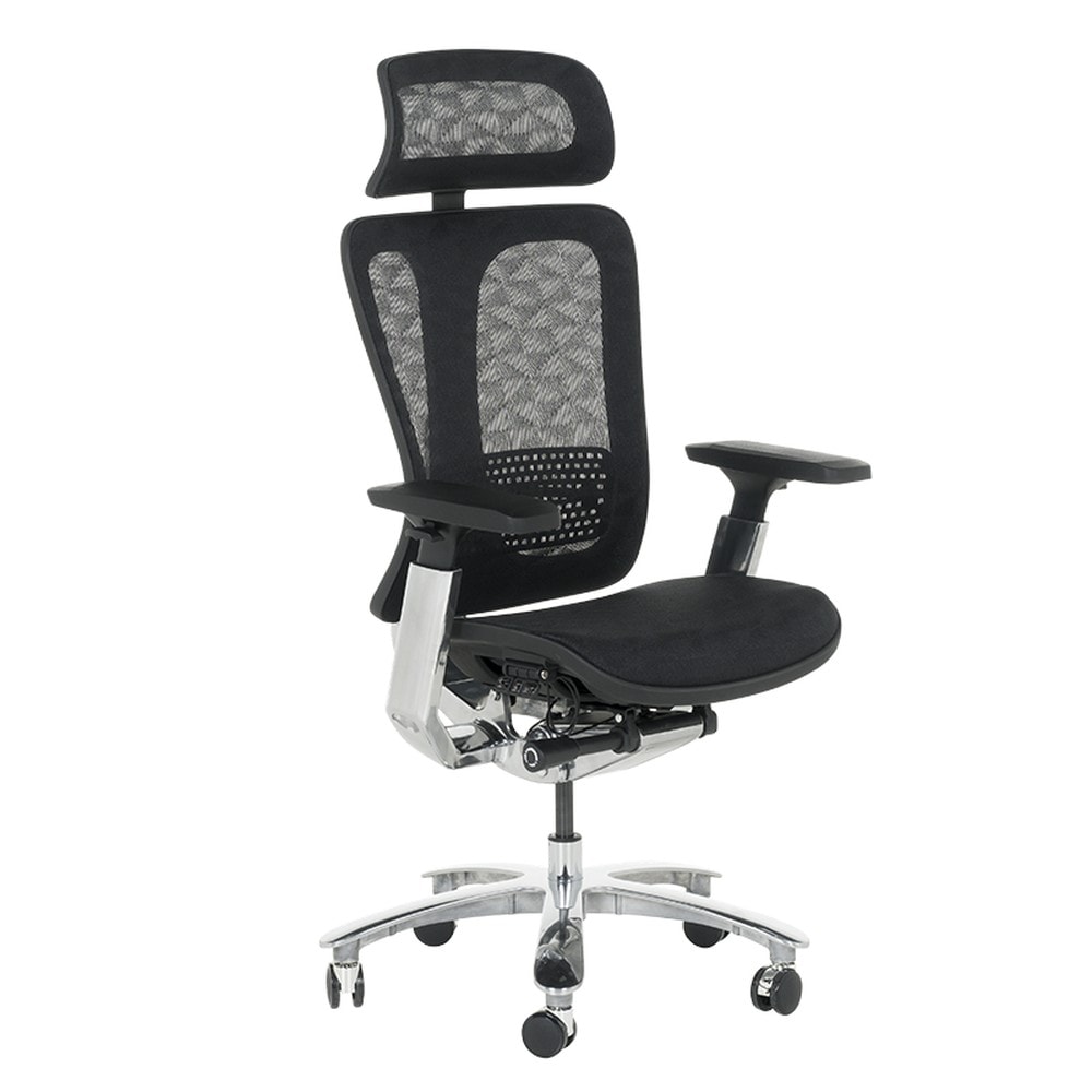 Carmen TRAIL Ergonomischer B&uuml;rostuhl &ndash; Schwarz 