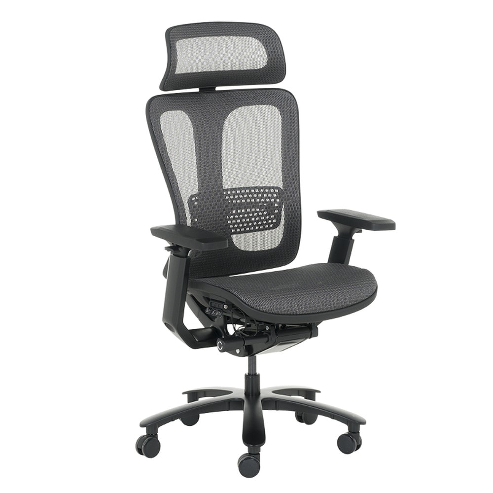 Carmen NELSON Ergonomischer B&uuml;rostuhl &ndash; Grau 