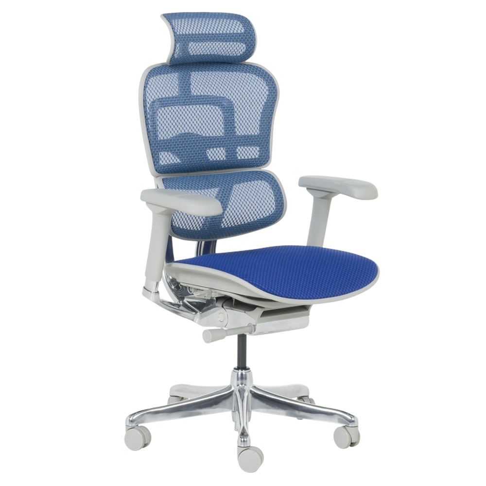 Ergohuman ELITE 2 Ergonomischer B&uuml;rostuhl &ndash; Grau/Blau 