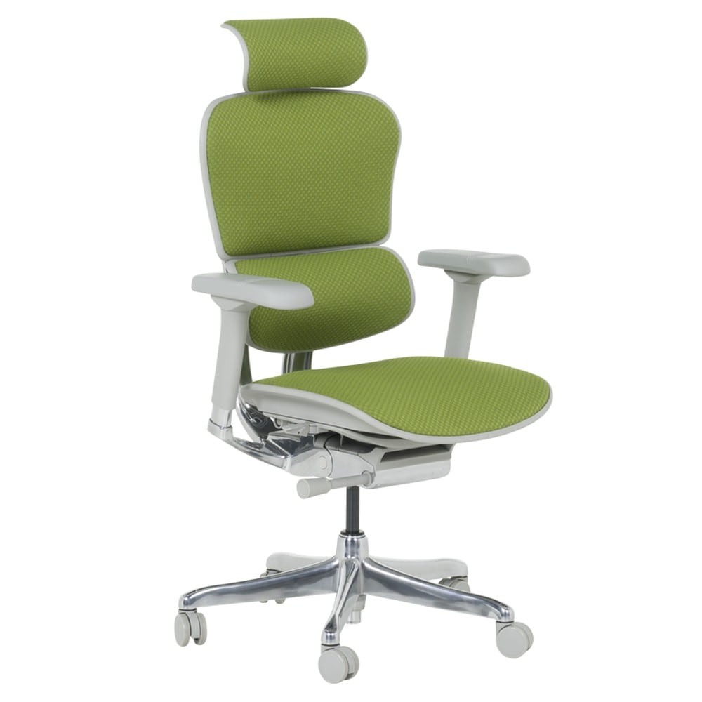 Ergohuman ELITE 2 Ergonomischer B&uuml;rostuhl &ndash; Grau/Gr&uuml;n 
