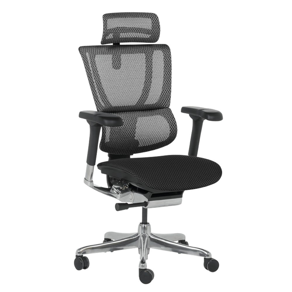 Ergohuman IOO ELITE 2 Ergonomischer B&uuml;rostuhl &ndash; Schwarz 
