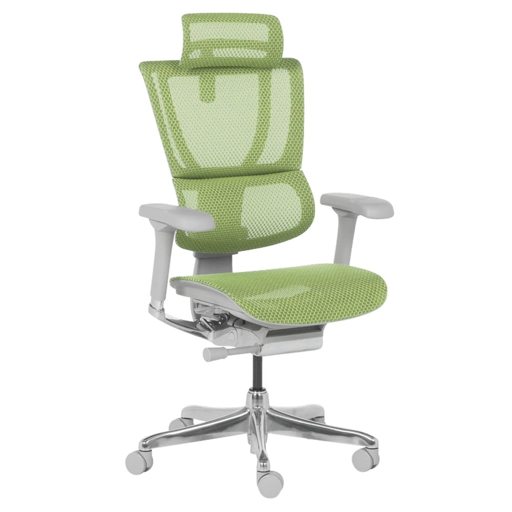 Ergohuman IOO ELITE 2 Ergonomischer B&uuml;rostuhl &ndash; Grau/Gr&uuml;n 