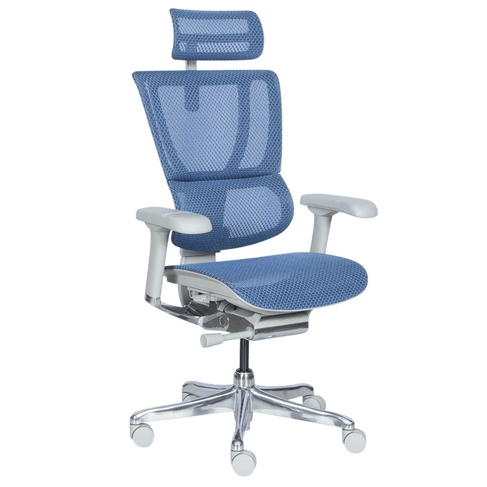 Ergohuman IOO ELITE 2 Ergonomischer B&uuml;rostuhl &ndash; Grau/Blau 