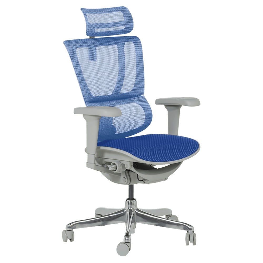 Ergohuman IOO ULTRA Ergonomischer B&uuml;rostuhl &ndash; Grau/Blau 