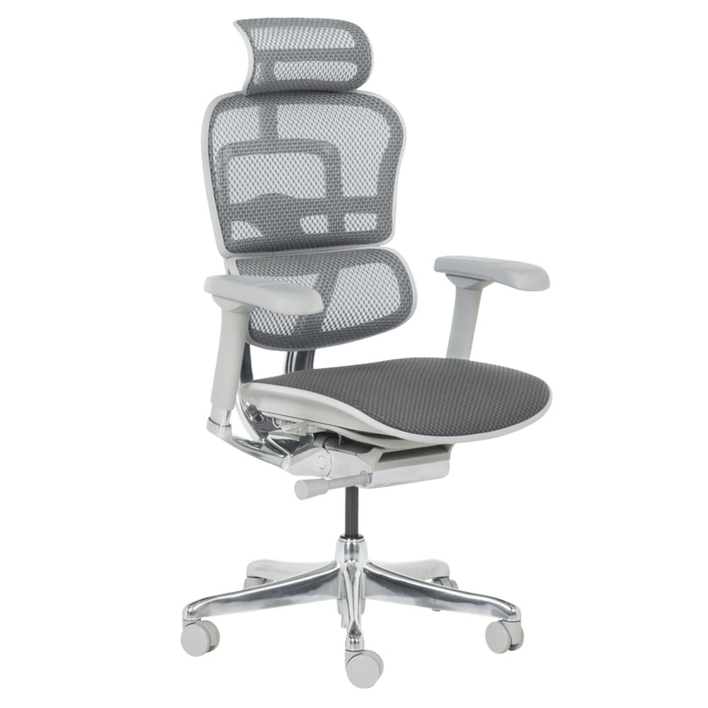 Ergohuman ELITE 2 Ergonomischer B&uuml;rostuhl &ndash; Grau 