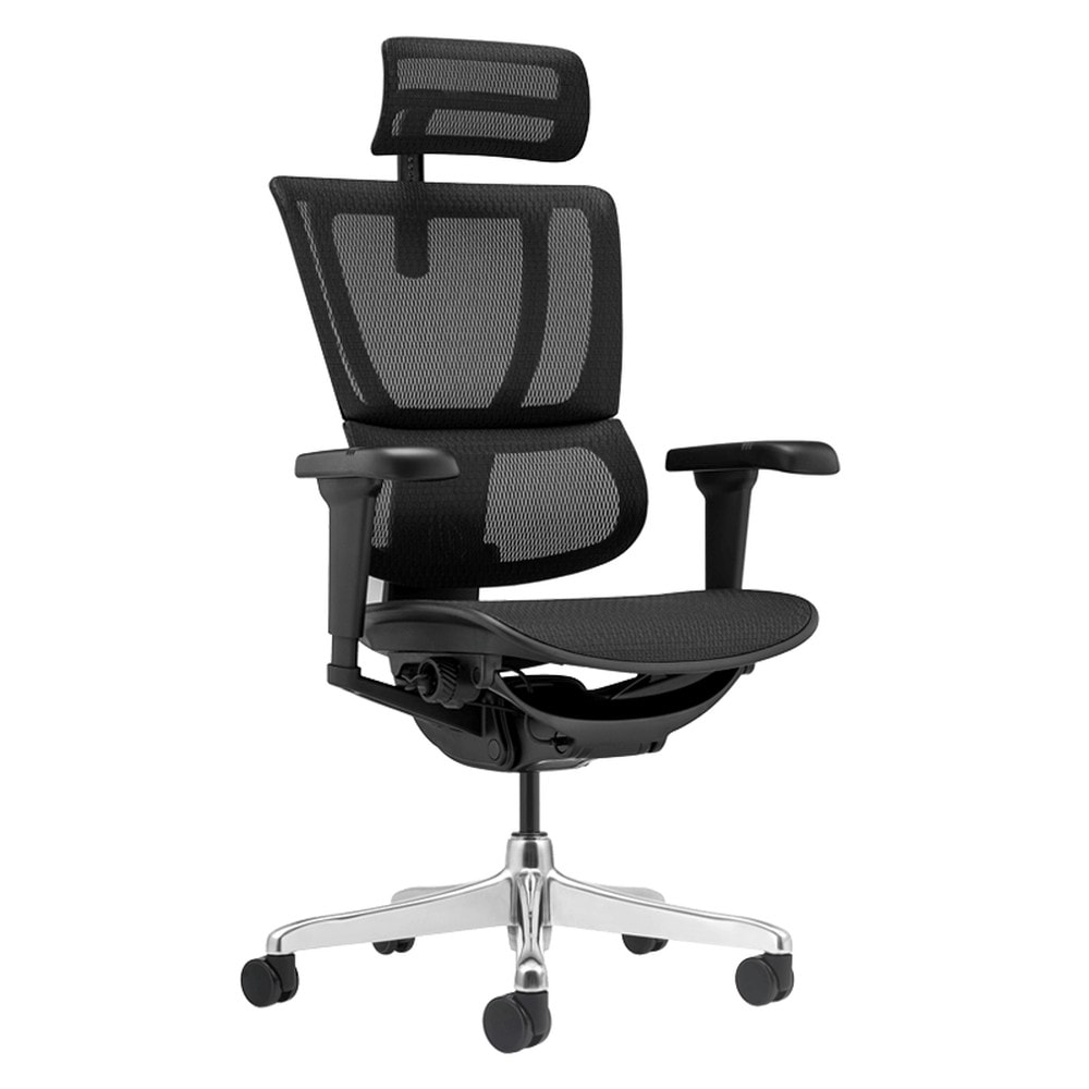 Ergohuman IOO ULTRA Ergonomischer B&uuml;rostuhl &ndash; Schwarz 