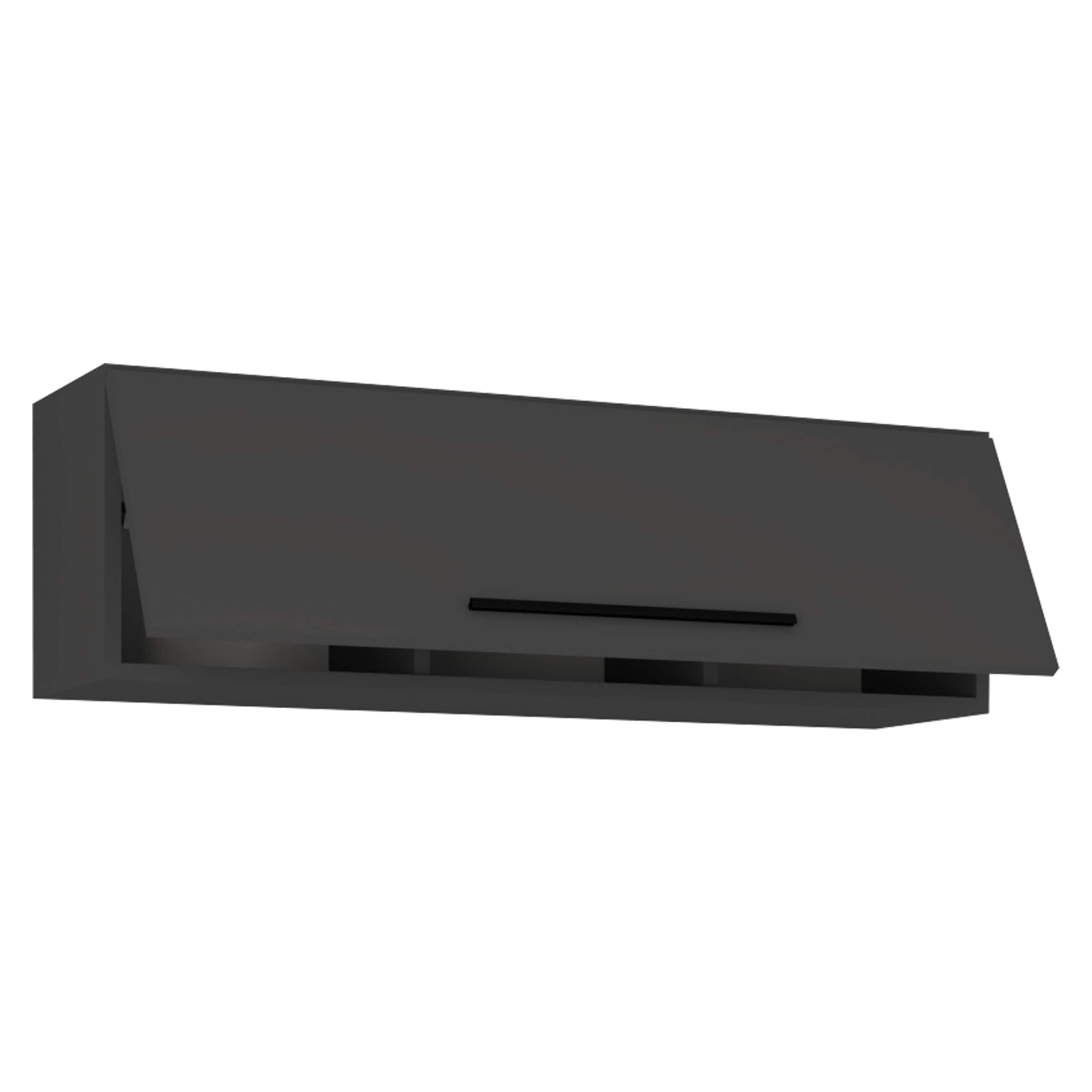 VCM Holzregal h&auml;ngend | platzsparendes Regal | Ma&szlig;e: H. 30 x B. 95 x T. 30 cm | Elegantes Regal h&auml;ngend | Aufbewahrungsregal | B&uuml;cherregal | Wandboard - Arila L 