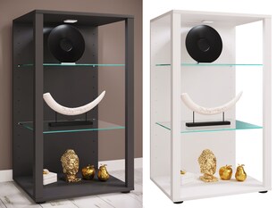 VCM Glasvitrine stehend | Vitrine Glas mit ESG-Sicherheitsglas | Maße ca .H. 90 x B. 52 x T. 44 cm | Standvitrine Glas | Modern und platzsparend | Glas Vitrinenschrank – Glasol XL 