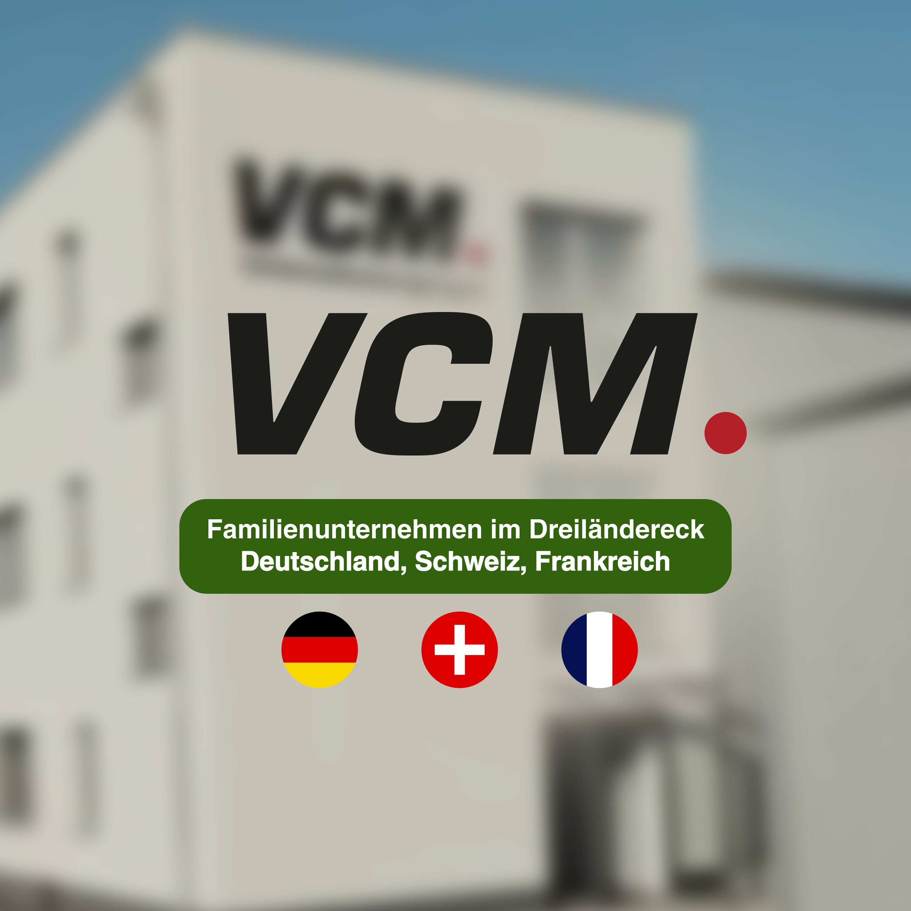 VCM Holzregal stehend | platzsparender CD-Schrank f&uuml;r 480 CDs oder 224 DVDs | Ma&szlig;e:H. 82 x B. 102 x T. 23 cm | Elegantes DVD Regal stehend | Blu-Ray Regal | CD Regal  Megosa L 