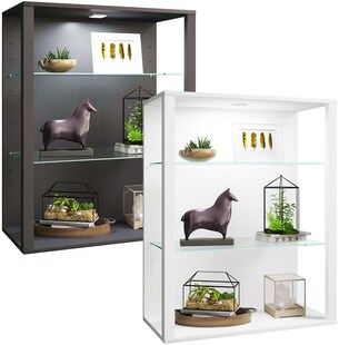 VCM Glasvitrine hängend | Vitrine Glas mit ESG-Sicherheitsglas | Maße ca. H. 90 x B. 70 x T. 35 cm | Hängevitrine Glas | Modern und platzsparend | Glas Vitrinenschrank - Glasol LW 