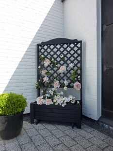 Promadino Rankkasten "Romantica" 80x140 cm 