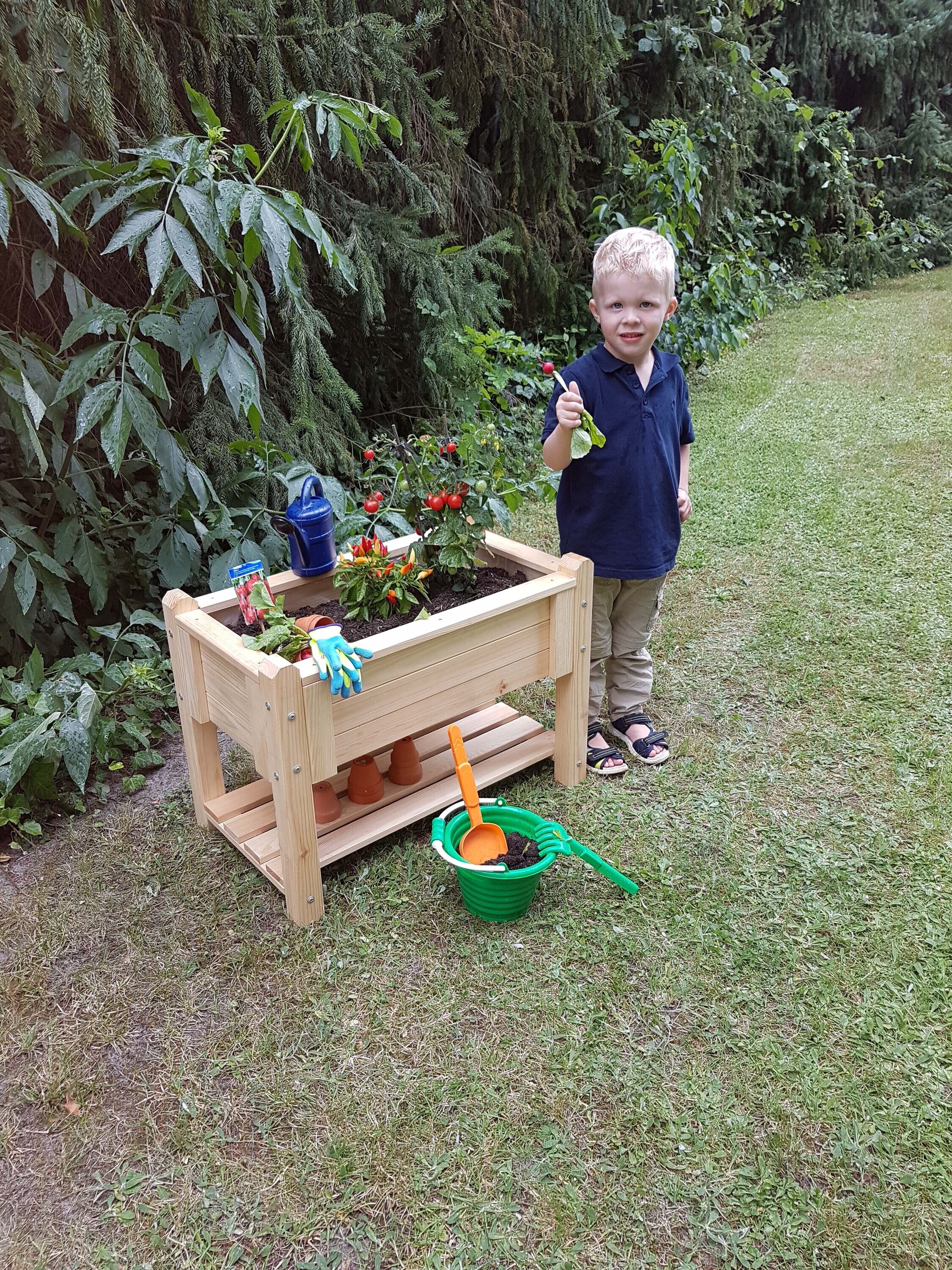 Promadino Kinder-Kr&auml;uterbeet "Bruno", natur 