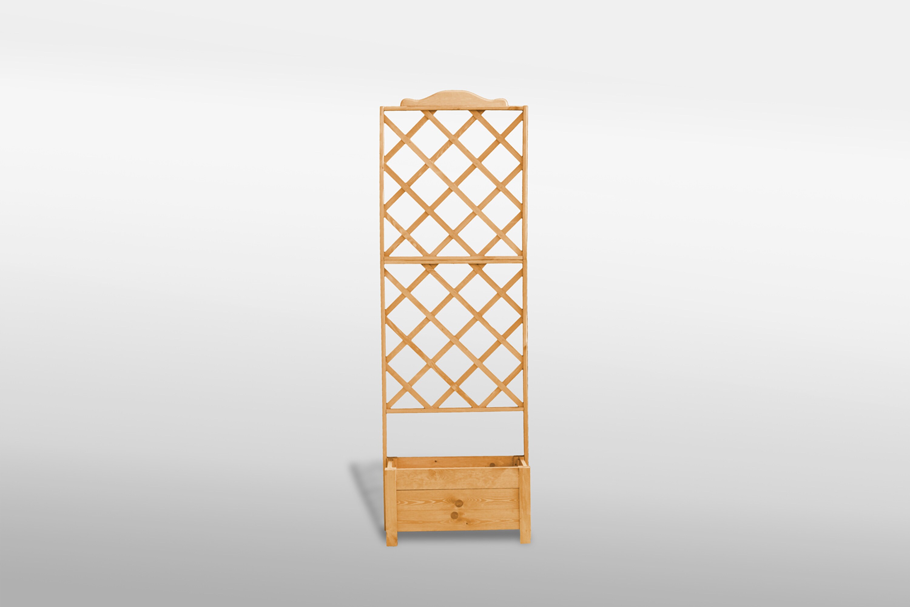 Promadino Rankkasten "Botanica" 69x210 cm 