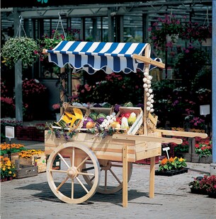 Promadino Marktwagen mit Baldachin weiß/blau 