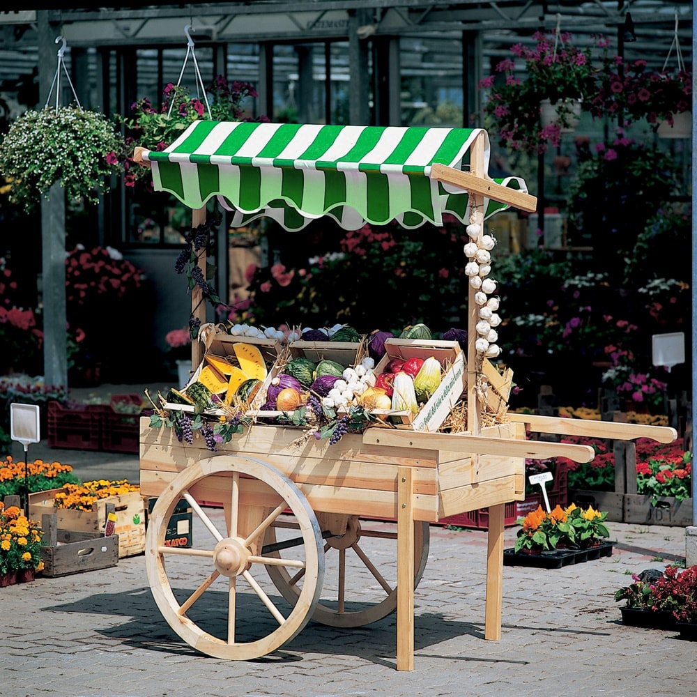 Promadino Marktwagen mit Baldachin wei&szlig;/gr&uuml;n 