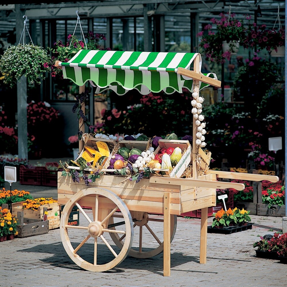 Promadino Marktwagen mit Baldachin weiß/grün