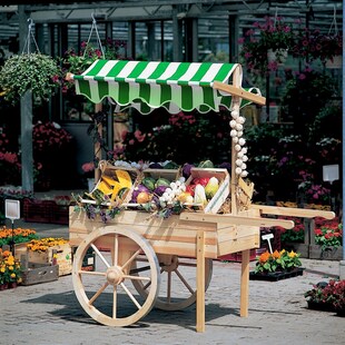 Promadino Marktwagen mit Baldachin weiß/grün 