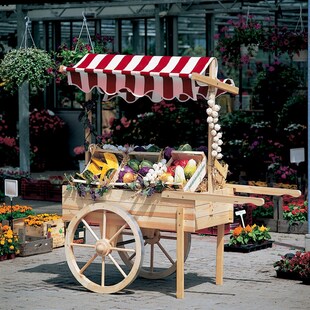 Promadino Marktwagen mit Baldachin weiß/rot 