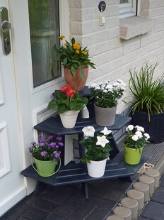 Promadino Blumentreppe "Anja" Eckelement 