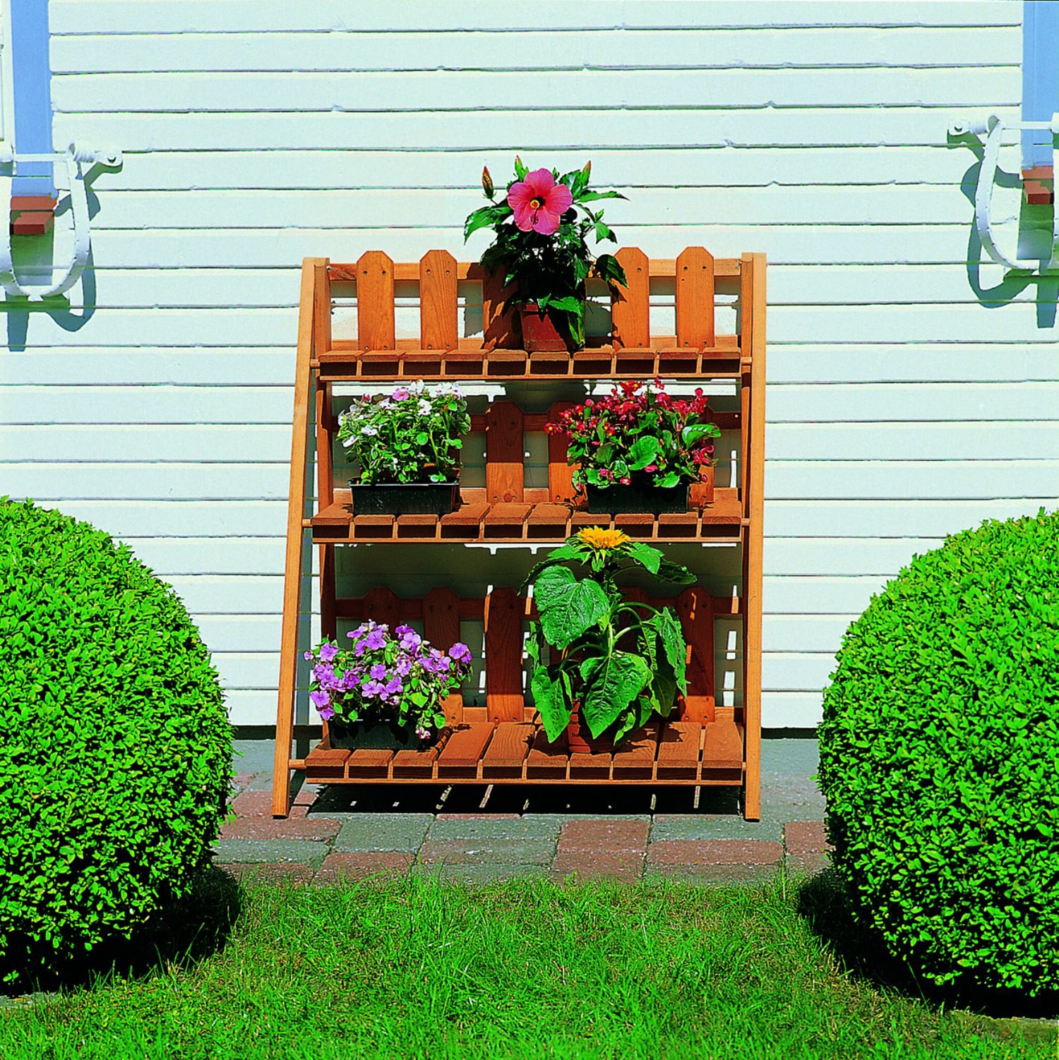 Promadino Blumenetagerie "Altes Land" 