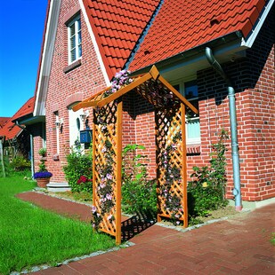 Promadino Rosenbogen 