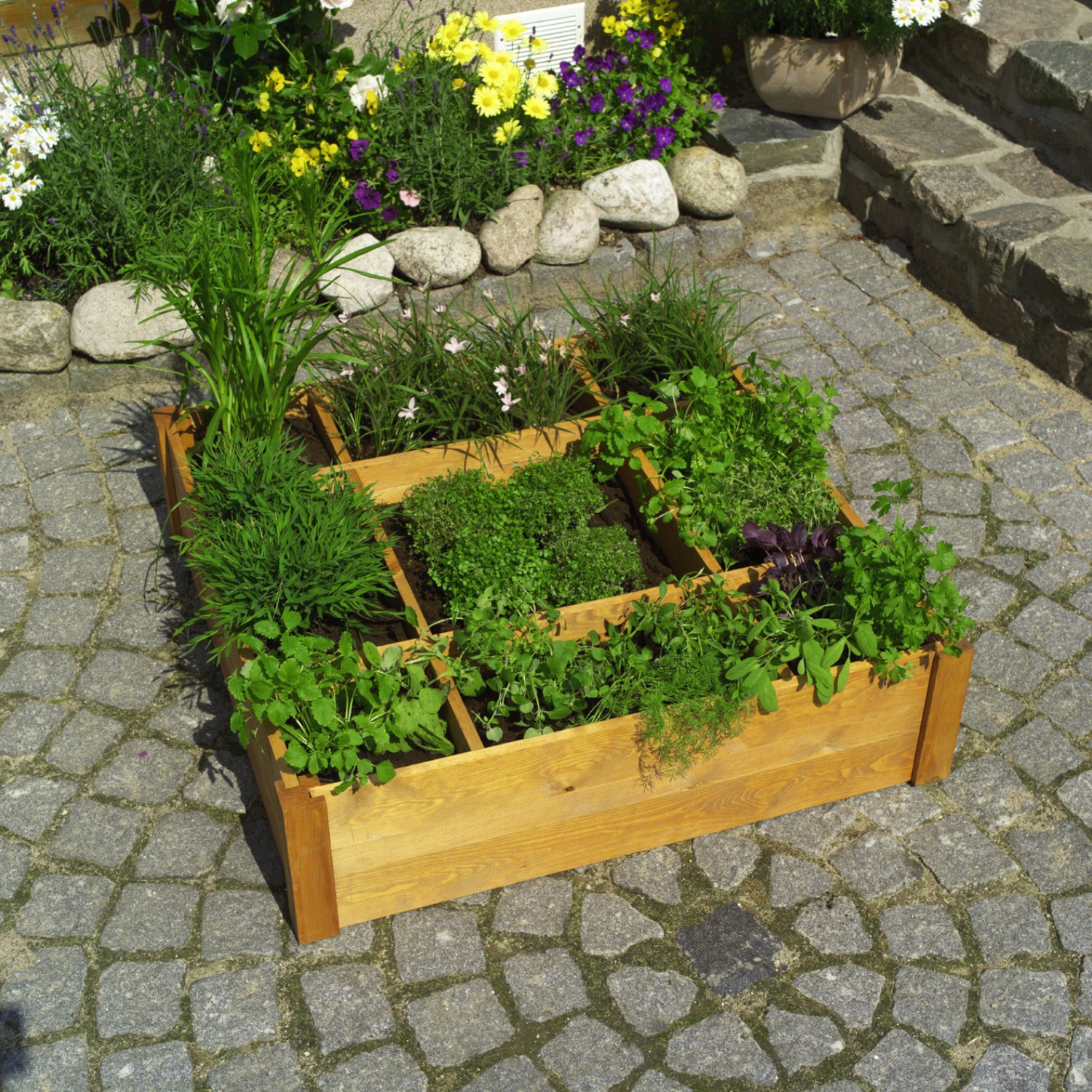 Promadino Kr&auml;uterbeet 