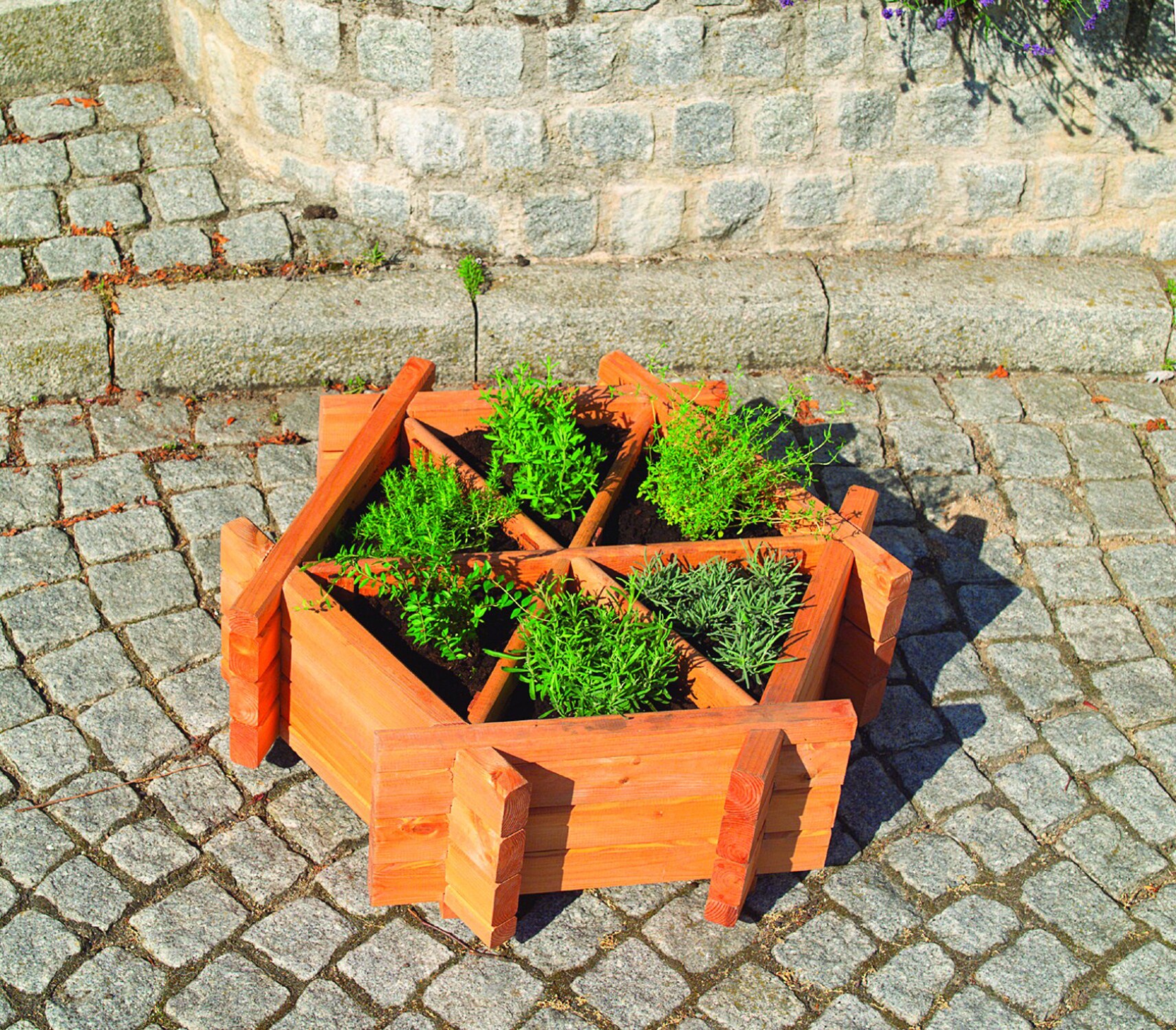 Promadino Kr&auml;uterrad klein 