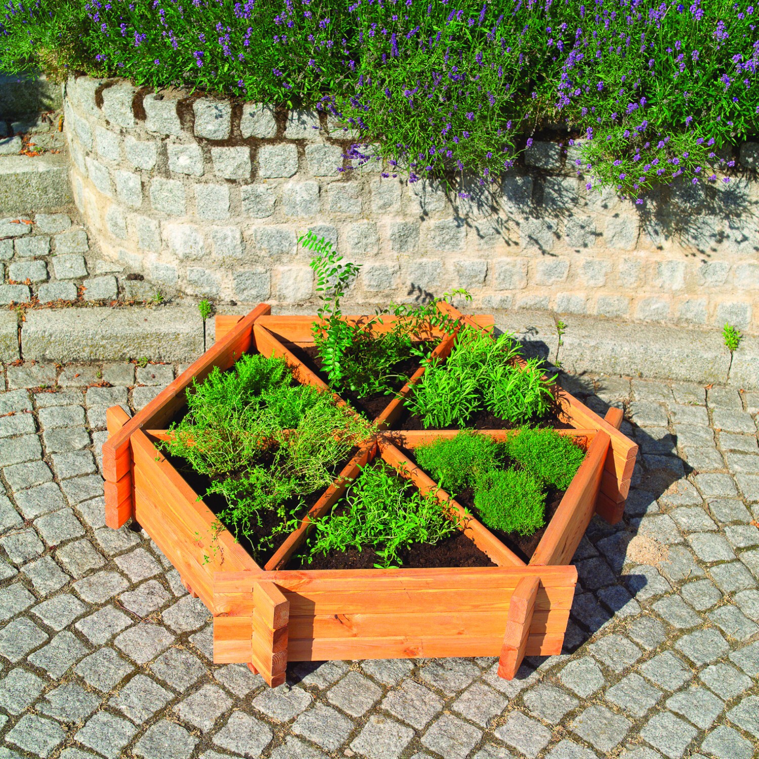 Promadino Kr&auml;uterrad gro&szlig; 