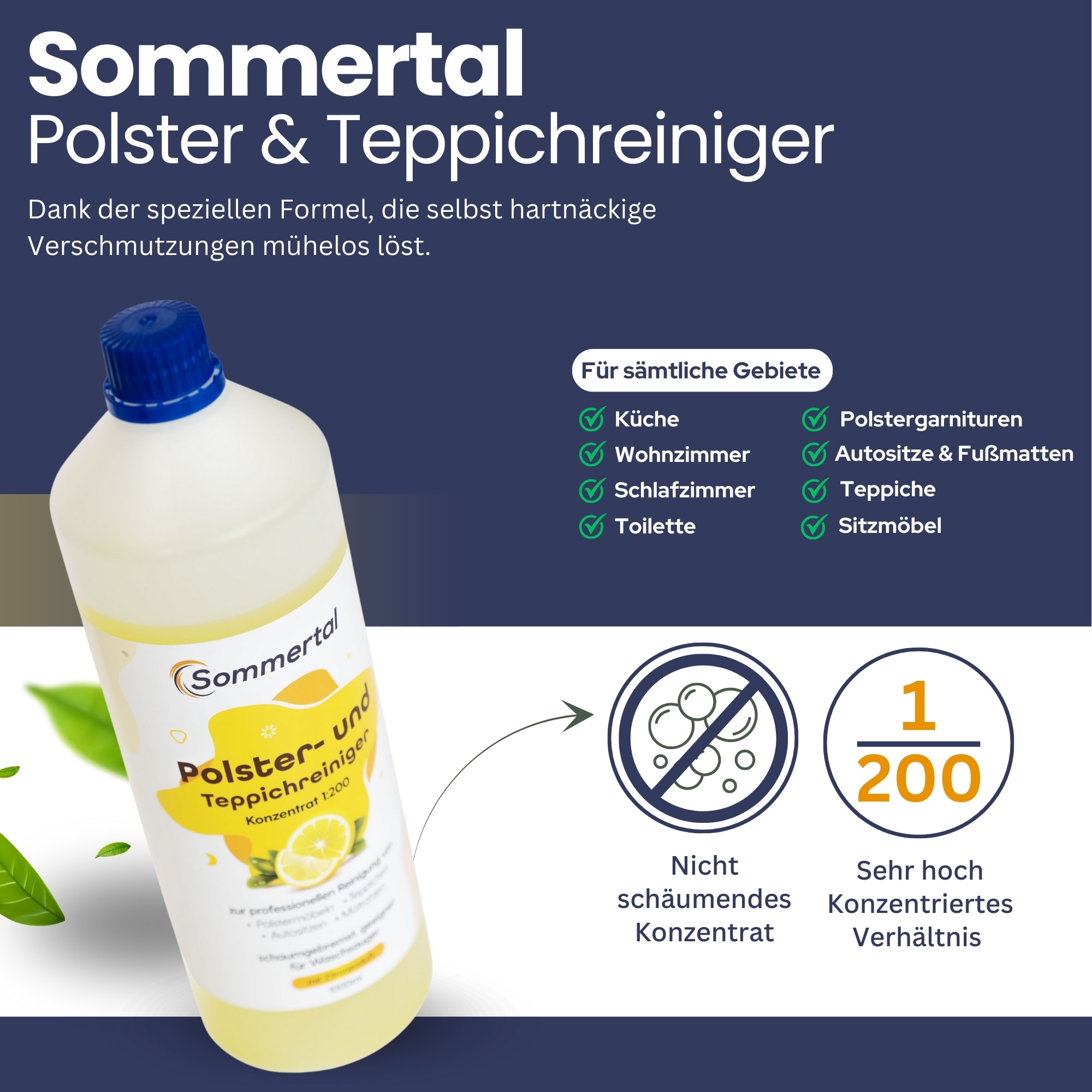 Sommertal MultiCleaner WS450 – 5in1 Waschsauger Für Teppich, Polster & Auto, 450W Motor, Mit Selbstreinigung & Zubehör
