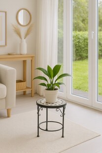 möbel direkt online Blumenständer Tom 