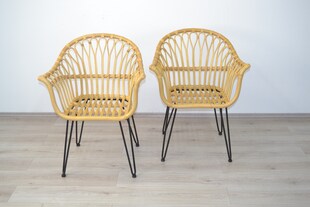 möbel direkt online Armlehnstuhl (2Stück) Sonja 