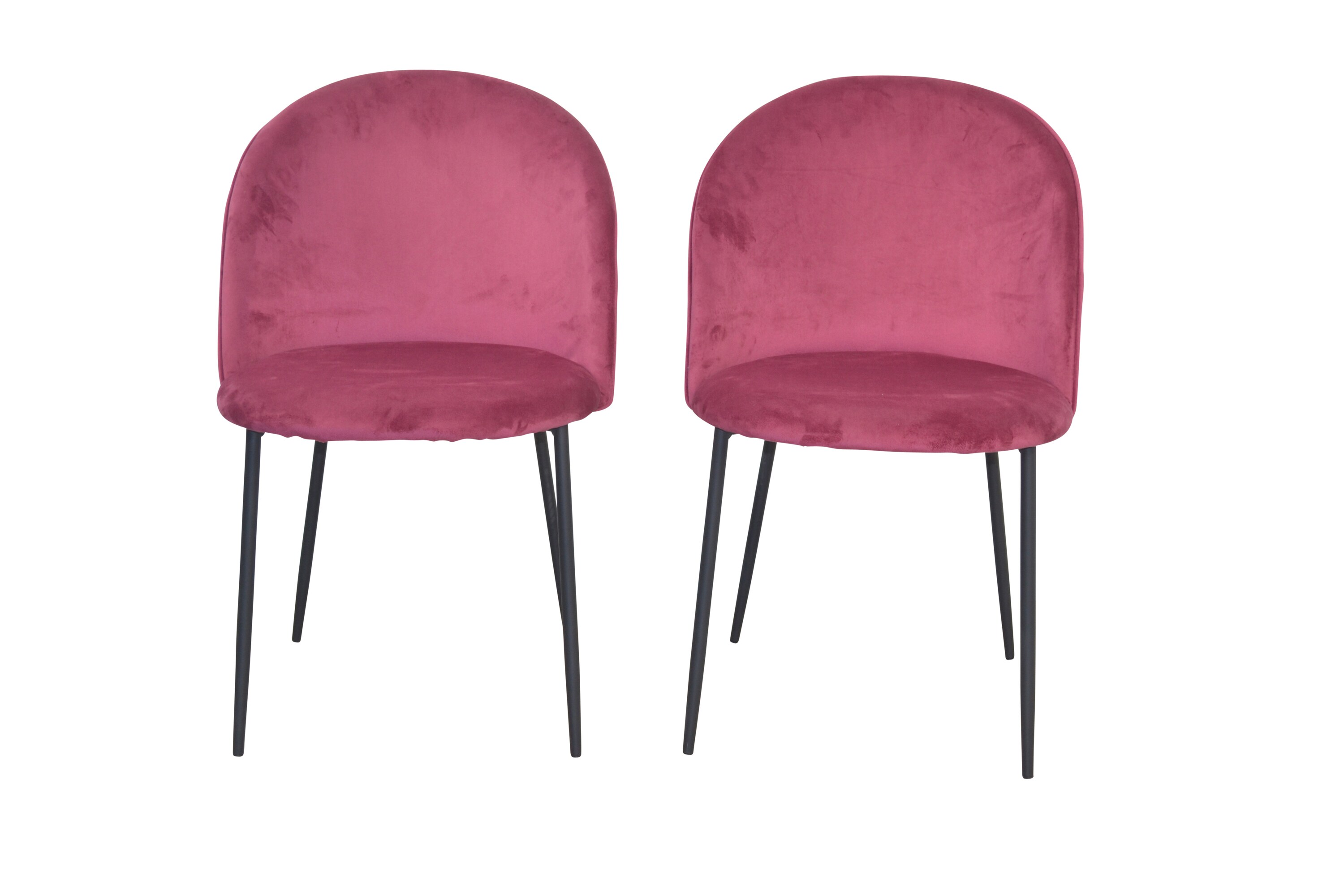 m&ouml;bel direkt online 4-Fu&szlig;-Polsterstuhl 2St&uuml;ck 