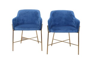 möbel direkt online Samt-Polsterstuhl (2Stück) Neddy 